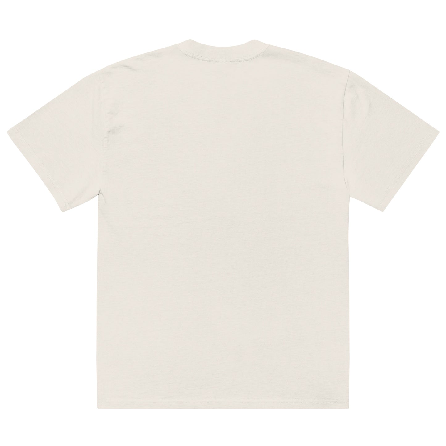 Dan "Forgive My English" oversized faded t-shirt