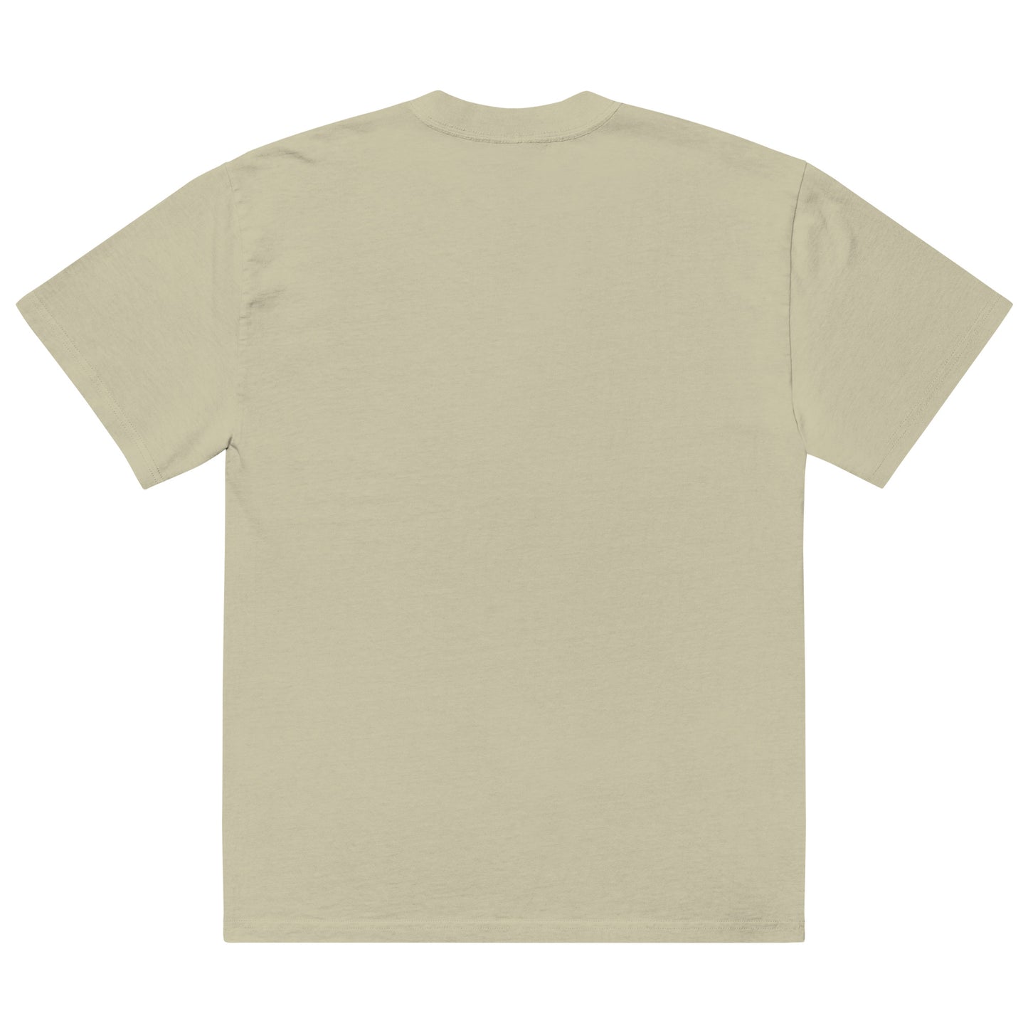 Dan "Forgive My English" oversized faded t-shirt